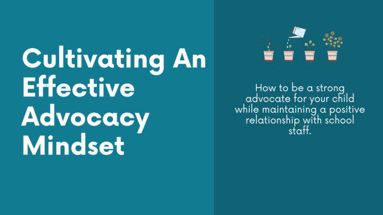 Cultivating An Effective Advocacy Mindset